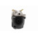 Ventil, kamaxelhusventilation, miniatyr 6