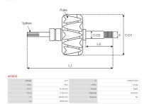 Rotor, generator