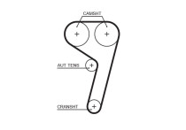 GATES Micro-V Riemen 6PK1029SF - Original Qualitäts-Keilrippenriemen Für Professionelle Anwendungen