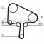 Distributieriem CT1133 Contitech, voorbeeld 2