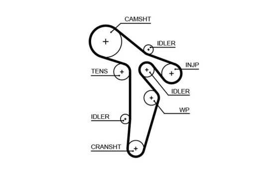 Distributieriem 5649XS Gates