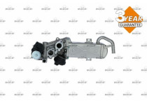 EGR module
