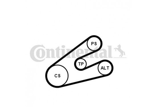 Multiriem set 6PK1453K1 Contitech voor o.a. CITROEN, PEUGEOT | Winparts.nl  - Multiriem set