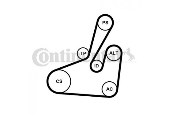 Multiriem set 6PK1710K2 Contitech voor o.a. CITROEN, FIAT, PEUGEOT |  Winparts.nl - Multiriem set