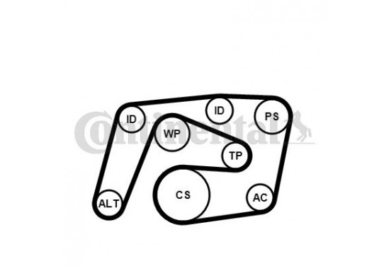 Multiriem set 6PK2260K1 Contitech voor o.a. MERCEDES-BENZ | Winparts.be -  Multiriem set
