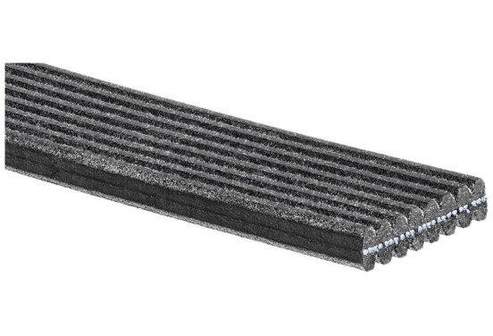 Multiriem 8DPK1630HD Gates, afbeelding 2