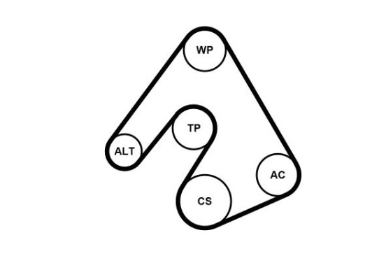 Multiriem set + waterpomp 5PK1207WP1 Contitech, afbeelding 2