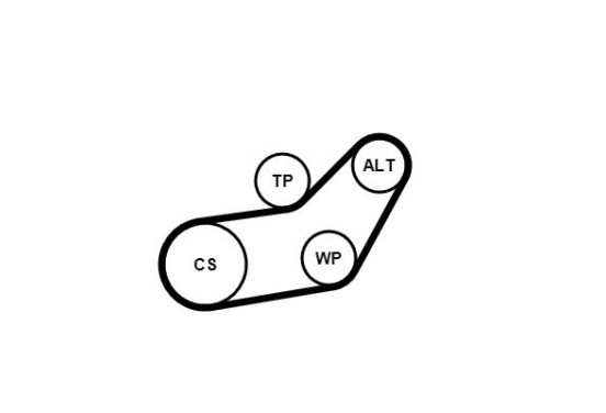 Multiriem set + waterpomp 6PK1045WP3 Contitech, afbeelding 2