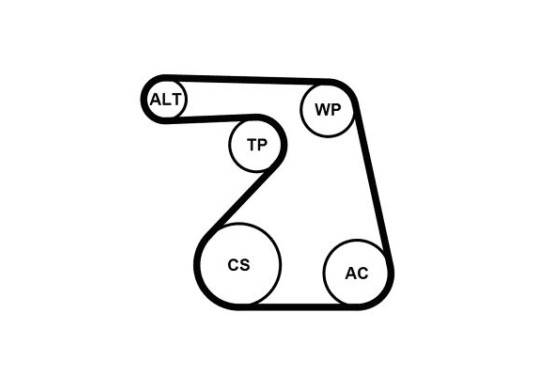 Multiriem set + waterpomp 6PK1217WP1 Contitech, afbeelding 2