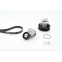 Multiriem set + waterpomp 6PK1217WP1 Contitech, voorbeeld 3