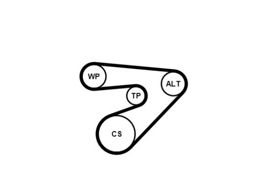 Multiriem set + waterpomp 6PK1453WP1 Contitech, afbeelding 2