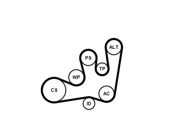 Multiriem set + waterpomp 6PK1642WP1 Contitech, afbeelding 3