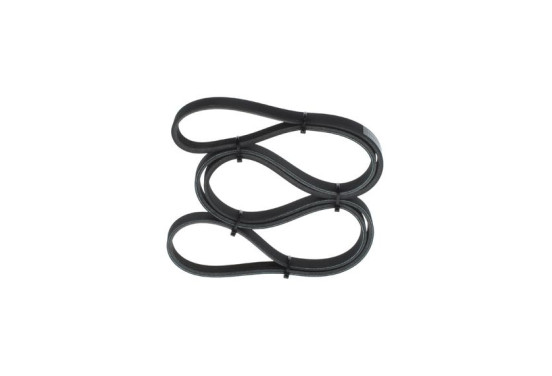 Multiriem, afbeelding 3