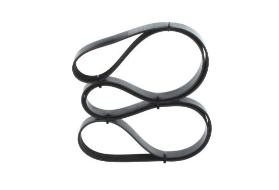 Multiriem, afbeelding 3