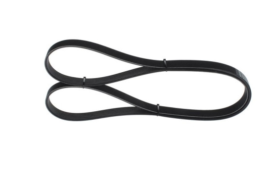 Multiriem, afbeelding 3