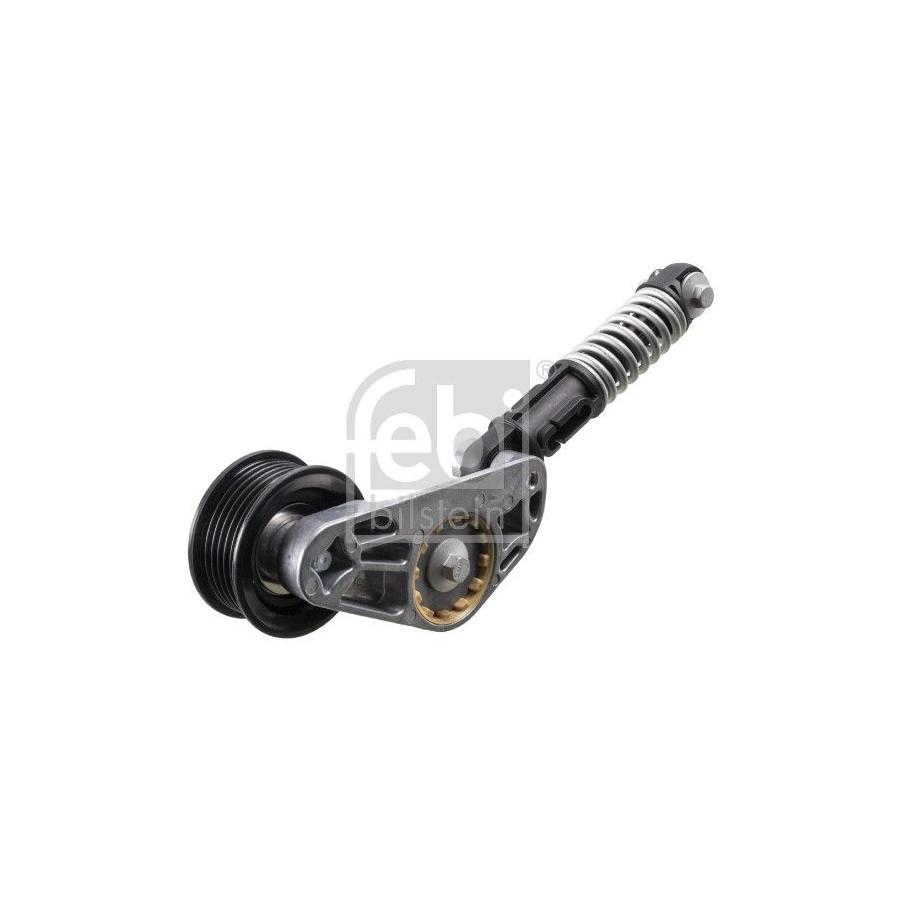 Riemspanner, Poly V-riem FEBI BILSTEIN 31076 voor Citroen, Honda, Peugeot