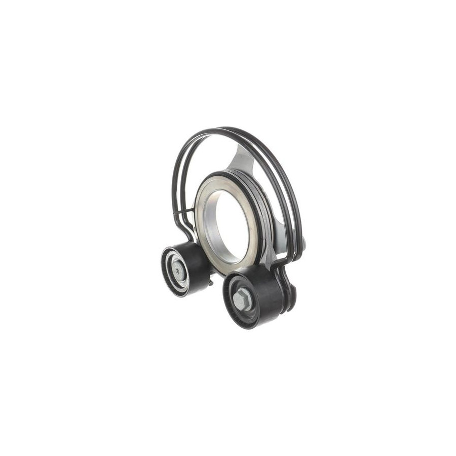 Skf Geleide rol/omdraairol, Poly V-riem voor o.a. Renault, Nissan