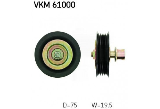 Spanrol VKM 61000 SKF