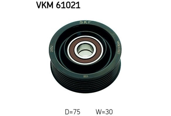 Spanrol VKM 61021 SKF