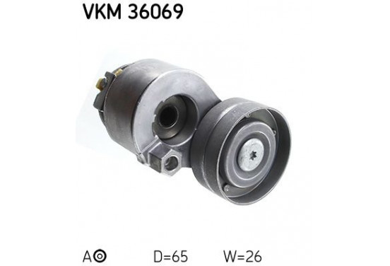 Spanrol VKM 36069 SKF