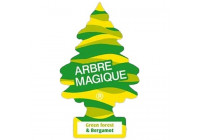 Assainisseur d'air Wonderboom Green Forest & Bergamot
