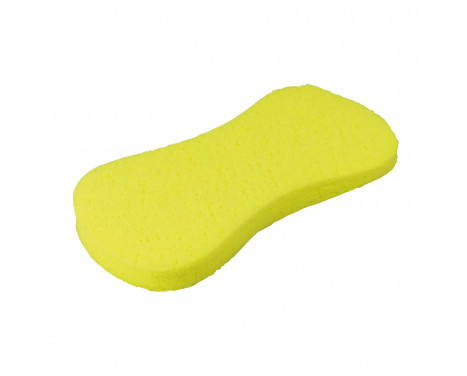 Protecton Swear Sponge