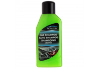 Protecton Auto shampooing 500ml