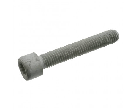 Cardanasschroef, Thumbnail 3 Cardanasschroef, Thumbnail 3