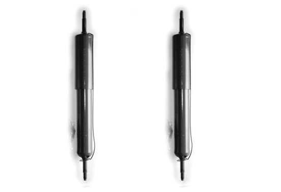 Schokdemper D8016 Monroe, afbeelding 2