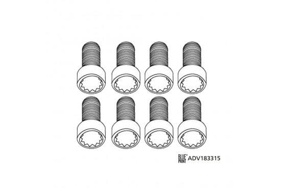 Vliegwielschroevenset ADV183315 Blue Print