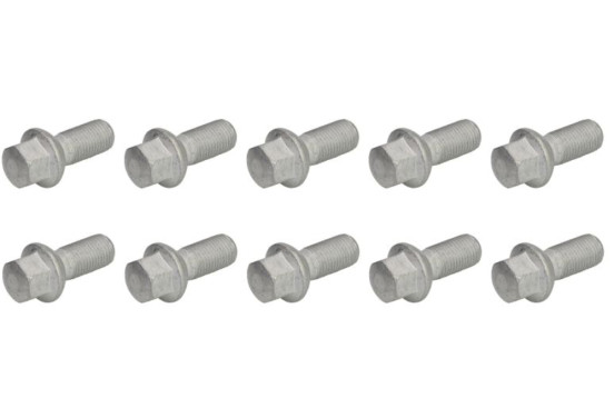 Eibach wielschroeven 10 stuks