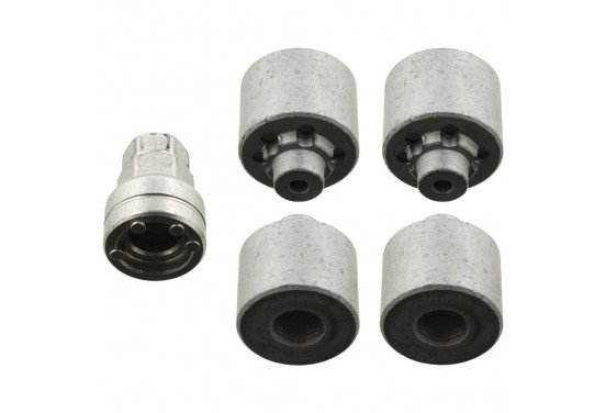 Wielmoerset 101001 FEBI