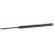 resorte de gas, maletero ML6001 Monroe