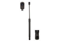 Resorte de gas, maletero