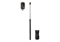 Resorte de gas, maletero