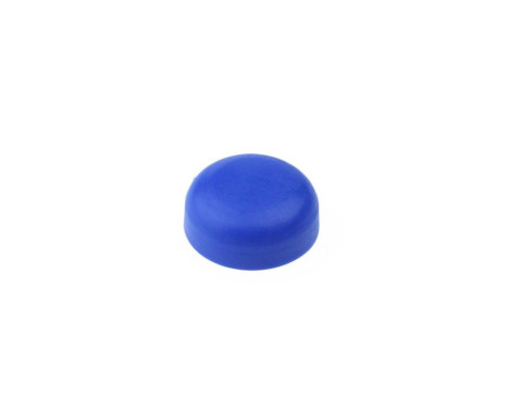 Tapa de tornillo para matrícula azul - 50 piezas
