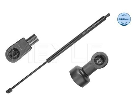 Resorte de gas, maletero 40-40 910 0025 Meyle