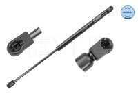 Resorte de gas, maletero 640 910 0001 Meyle
