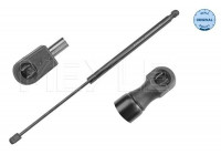 Resorte de gas, maletero 640 910 0010 Meyle