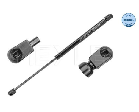 Resorte de gas, maletero 740 910 0029 Meyle