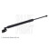 Resorte de gas, maletero ADBP580030 Blue Print, Miniatura 2