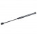 resorte de gas, maletero ADC45803 Blue Print