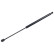 resorte de gas, maletero ADG05801 Blue Print