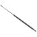 resorte de gas, maletero ADK85801 Blue Print