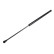 resorte de gas, maletero ADT35830 Blue Print