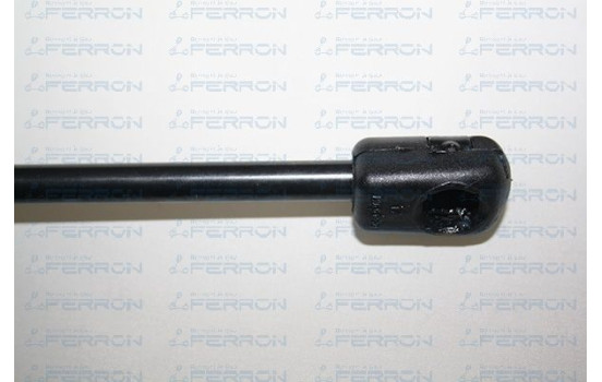 XSARA CAPOT, Imagen 2