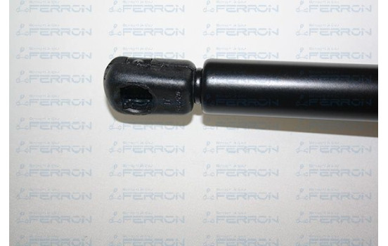 XSARA CAPOT, Imagen 3