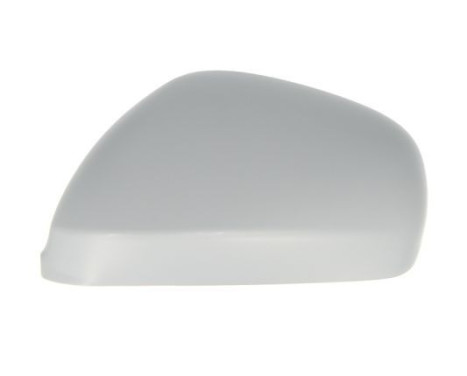 Carcasa, retrovisor exterior
