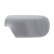 Carcasa, retrovisor exterior