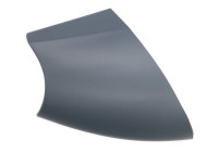 Carcasa, retrovisor exterior